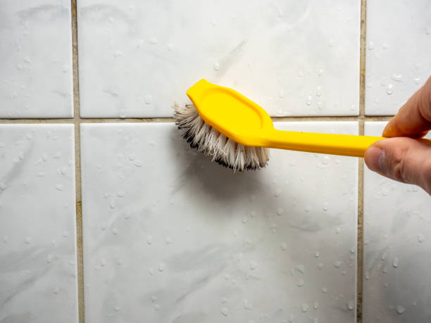  , MO Mold Removal Pros